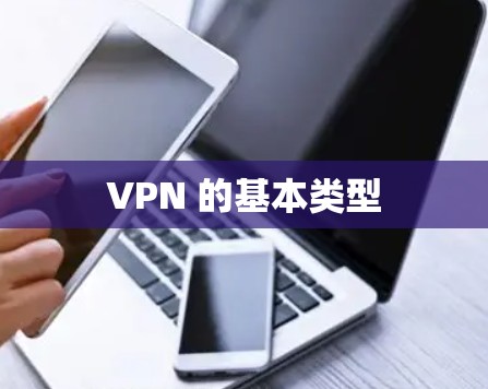 VPN 的基本类型
