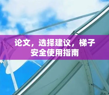 论文，选择建议，梯子安全使用指南