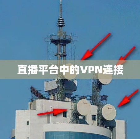 直播平台中的VPN连接