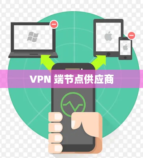 VPN 端节点供应商