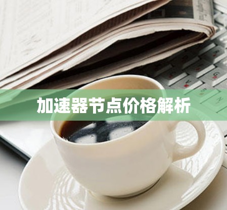 加速器节点价格解析