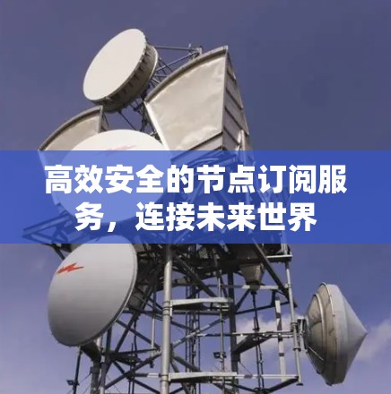 高效安全的节点订阅服务，连接未来世界