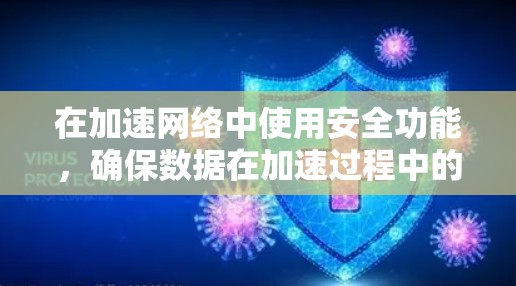 在加速网络中使用安全功能，确保数据在加速过程中的安全，通常涉及以下方面