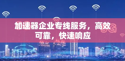 加速器企业专线服务，高效可靠，快速响应