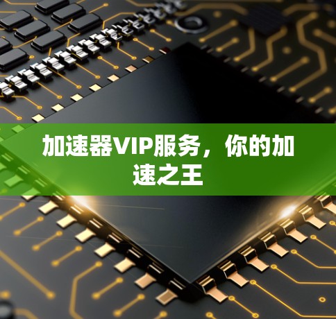 加速器VIP服务，你的加速之王