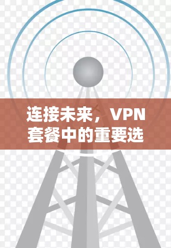 连接未来，VPN套餐中的重要选择