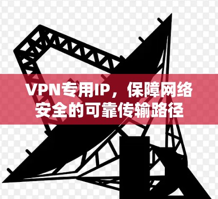 VPN专用IP，保障网络安全的可靠传输路径