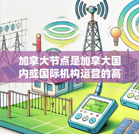 加拿大节点是加拿大国内或国际机构运营的高性能计算中心，提供加速器服务，帮助研究人员进行复杂科学计算和实验。以下是对加拿大节点的详细分析