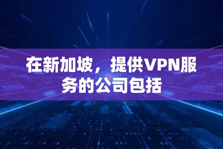 在新加坡，提供VPN服务的公司包括