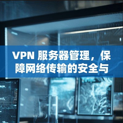 VPN 服务器管理，保障网络传输的安全与效率