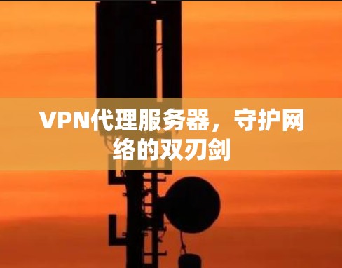 VPN代理服务器，守护网络的双刃剑