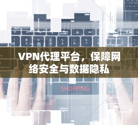 VPN代理平台，保障网络安全与数据隐私