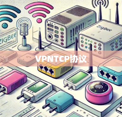 VPNTCP协议