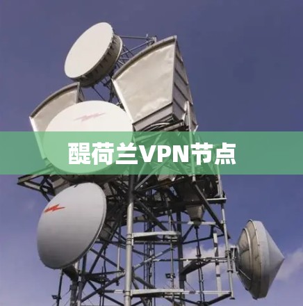 醍荷兰VPN节点