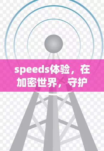 speeds体验，在加密世界，守护你的网络速度