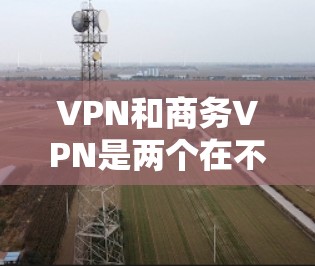 VPN和商务VPN是两个在不同领域使用的网络服务，尽管它们都涉及加密技术，但它们的用途和功能有所不同。以下是详细的对比