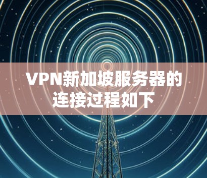 VPN新加坡服务器的连接过程如下