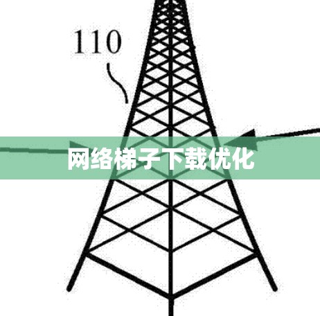 网络梯子下载优化
