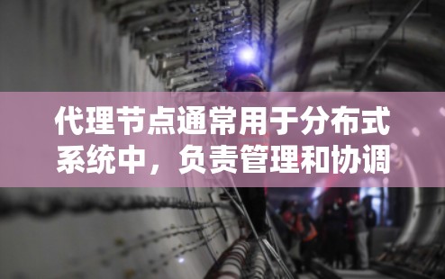代理节点通常用于分布式系统中，负责管理和协调多个节点之间的数据传输和通信。代理节点的线路配置通常与网络层、数据链路层或数据传输层相关。以下是一些可能的代理节点线路配置和应用场景