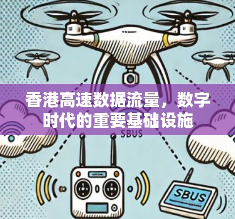 香港高速数据流量，数字时代的重要基础设施