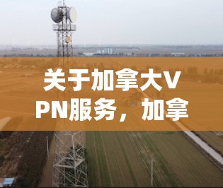 关于加拿大VPN服务，加拿大是全球知名的网络服务提供商，拥有许多网络安全的解决方案和VPN服务。以下是一些相关的信息