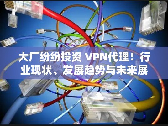 大厂纷纷投资 VPN代理！行业现状、发展趋势与未来展望