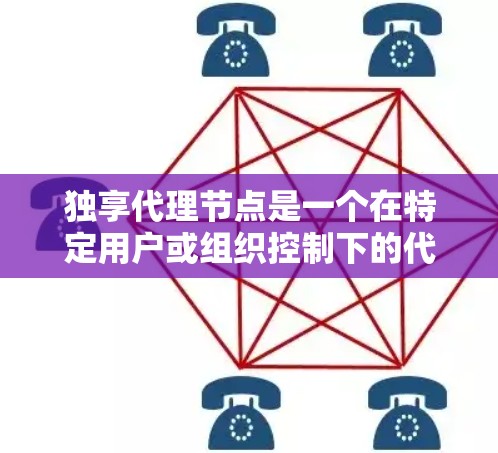 独享代理节点是一个在特定用户或组织控制下的代理节点，用于管理特定的数据和请求资源。它通过限制用户的访问权限和控制范围，确保用户能够有效管理和保护其数据和隐私。以下是对该概念的详细解析