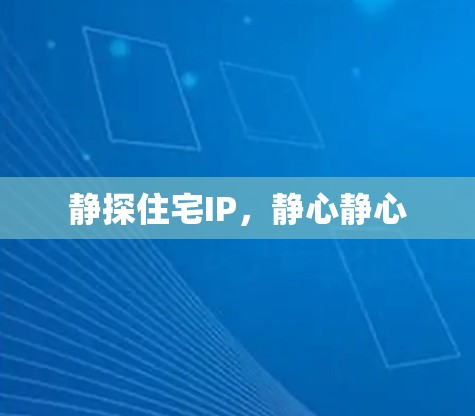 静探住宅IP，静心静心