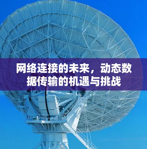 网络连接的未来，动态数据传输的机遇与挑战
