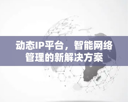 动态IP平台，智能网络管理的新解决方案