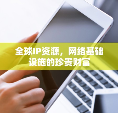 全球IP资源，网络基础设施的珍贵财富
