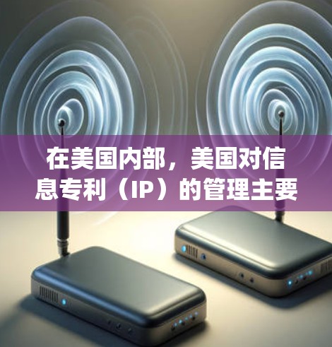 在美国内部，美国对信息专利（IP）的管理主要遵循反垄断法（Antitrust and Competition Act）和专利法（Patent Act）美国对 IP 的使用和管理主要基于以下原则