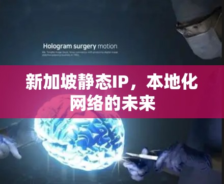 新加坡静态IP，本地化网络的未来