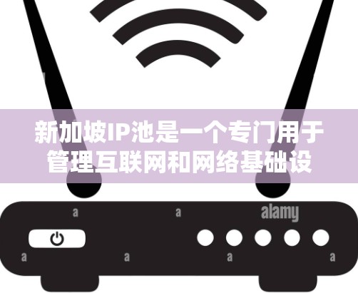 新加坡IP池是一个专门用于管理互联网和网络基础设施的服务器，旨在确保新加坡内互联网服务的稳定和安全。以下是对新加坡IP池的详细说明
