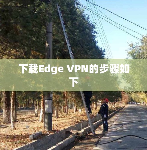 下载Edge VPN的步骤如下