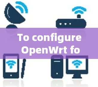 To configure OpenWrt for scientific use,follow these organized steps: