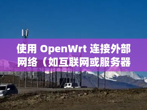使用 OpenWrt 连接外部网络（如互联网或服务器）的基本步骤如下