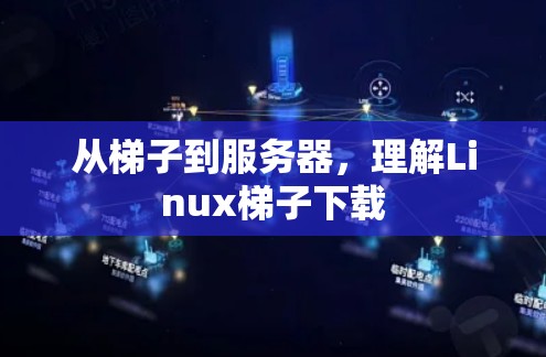 从梯子到服务器，理解Linux梯子下载