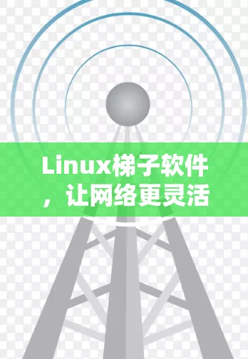 Linux梯子软件，让网络更灵活与可靠
