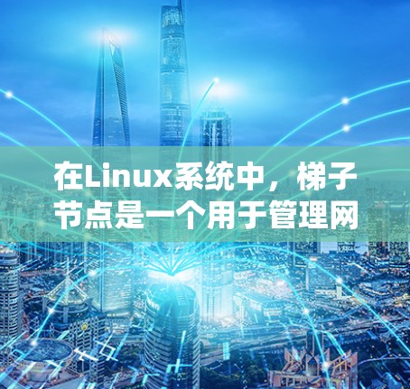 在Linux系统中，梯子节点是一个用于管理网络设备的工具，通常指路由器或交换机等网络设备。梯子节点通过配置命令行工具（如sudo命令）来管理这些设备，支持子网划分、IP分配和网络接口的管理