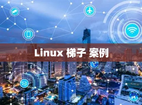 Linux 梯子 案例