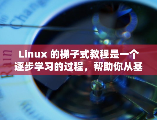 Linux 的梯子式教程是一个逐步学习的过程，帮助你从基础命令开始，逐步掌握系统的功能和高级操作。以下是一个清晰的指南，帮助你顺利学习