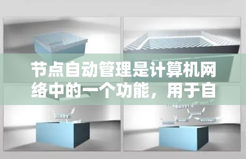 节点自动管理是计算机网络中的一个功能，用于自动执行节点的管理任务。以下是关于节点自动管理的主要内容