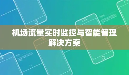 机场流量实时监控与智能管理解决方案
