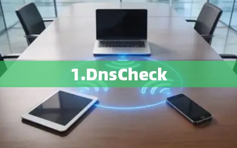 1.DnsCheck