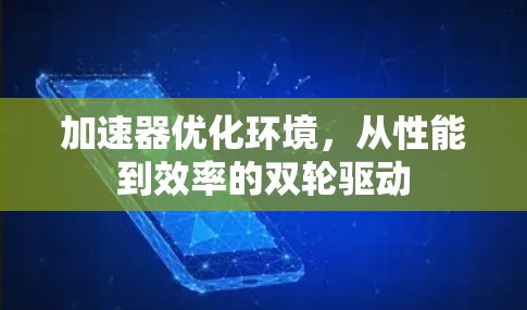 加速器优化环境，从性能到效率的双轮驱动