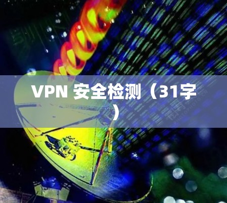 VPN 安全检测（31字）