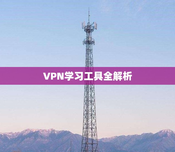 VPN学习工具全解析