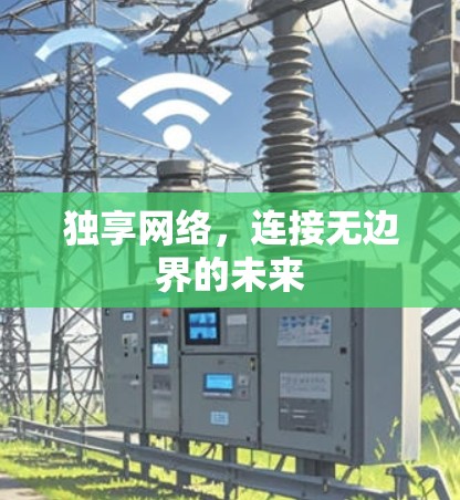 独享网络,连接无边界的未来 独享网络,连接无边界的未来