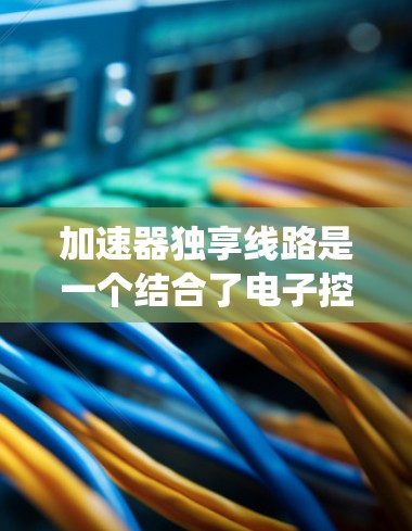 加速器独享线路是一个结合了电子控制系统的加速器和独立交通网络结构的概念。以下是对该概念的详细说明